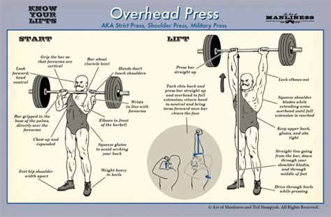 ohp plateau reddit|Muscle Usage in an Overhead Press .